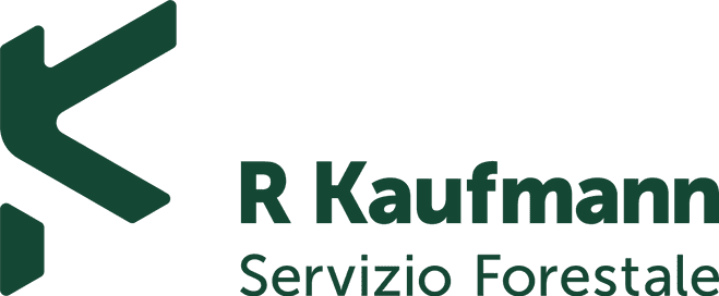 R. Kaufmann - Lavori forestali - Beride